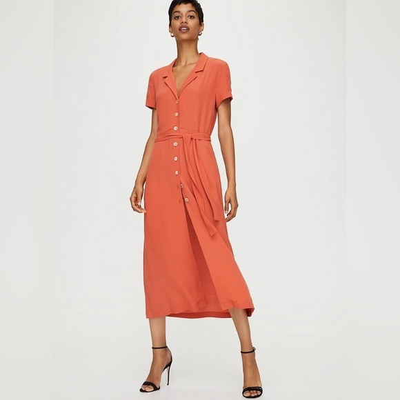 Aritzia Dresses & Skirts - Aritzia Wilfred Shirt Dress